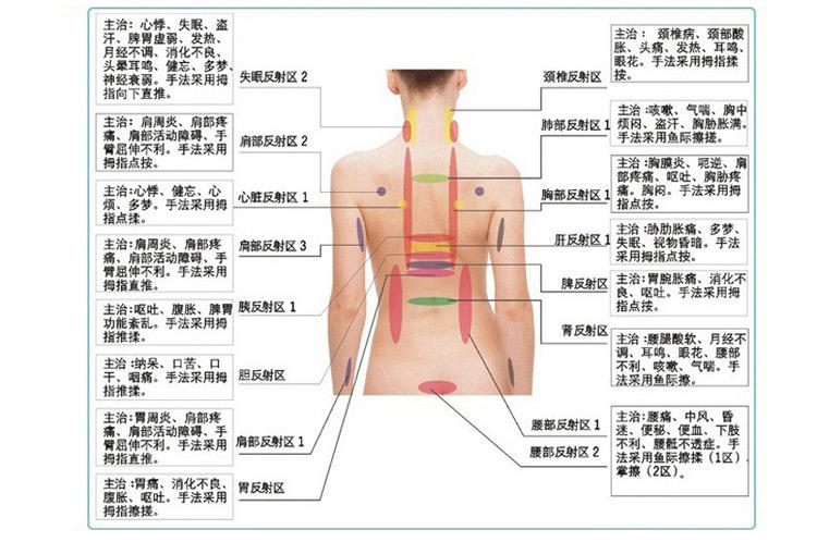 荣康正品 rkd-0612腰颈椎多部位按摩垫 厂家直
