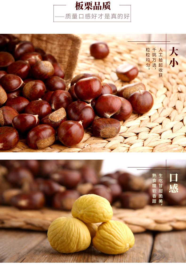 神栗 有机生栗子 5斤装 燕山板栗宽城板栗