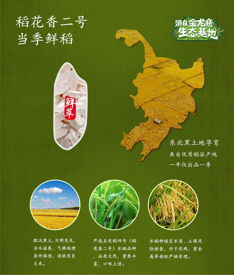 金龙鱼 鲜萃稻香贡米 5kg