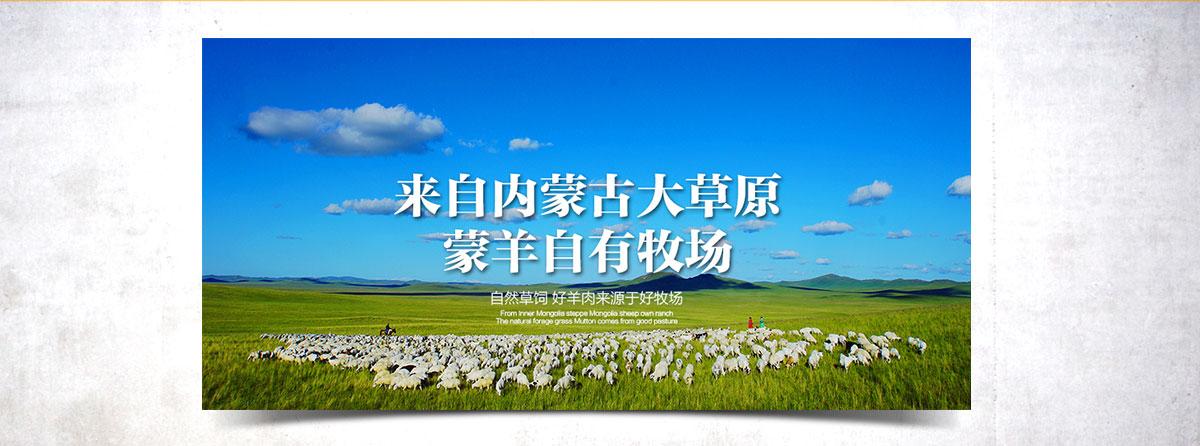 蒙羊牧业股份有限公司