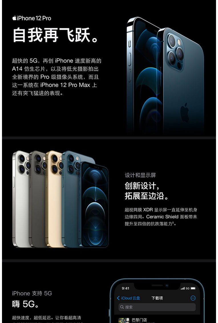 Apple Iphone 12 Pro Max 5g 手机 价格品牌报价图片 善融商务分期优选