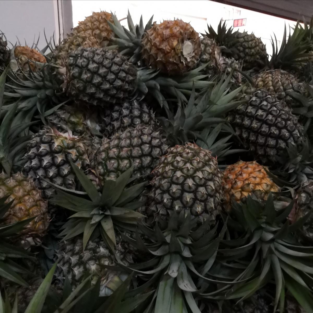 00元,价格实惠,品质保证-菠萝/凤梨