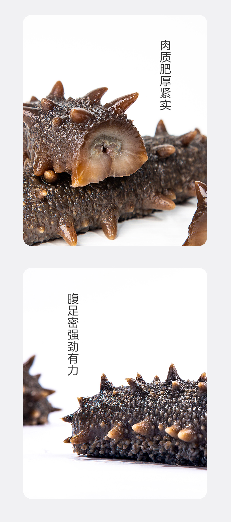 天鹿岛 辽刺海生即食海参 500g (25-30头)/斤,善融商务个人商城仅售