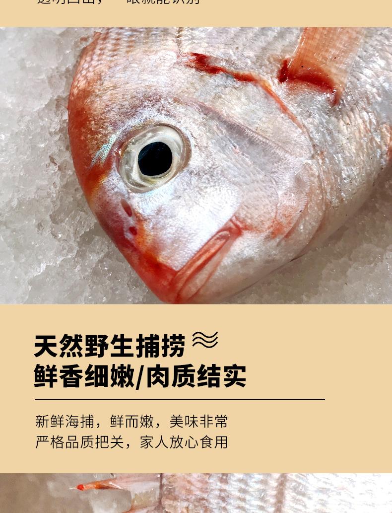 摩时渔鱼 新鲜海捕铜盆鱼真鲷 1斤(3-5条/斤)