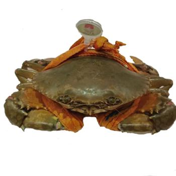 三门青蟹 大母膏蟹 蝤蠓， 两斤三只装