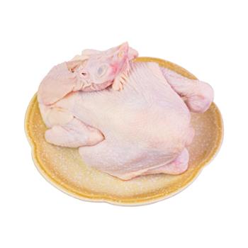 田园居&nbsp;林下散养500天&nbsp;黑凤&nbsp;贵妃老母鸡&nbsp;2-2.5斤/只