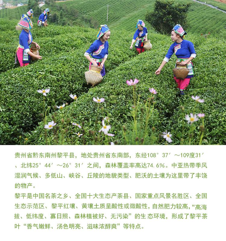 贵州黎平侗情时光绿茶香茶100g/袋,善融商务个人商城仅售39.
