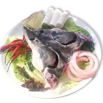 曲之鲟  鲟鱼头 鲟鱼筋软骨无刺煲汤蒸鱼头主材 550g