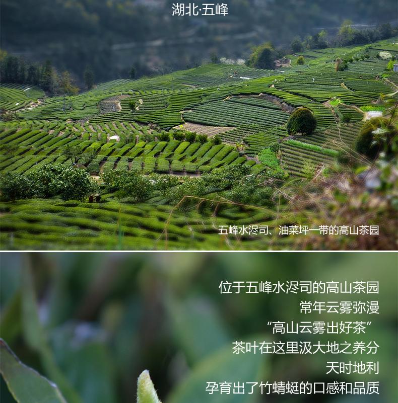 五峰毛尖绿茶 贡芽288g 礼盒装,善融商务个人商城仅售538.
