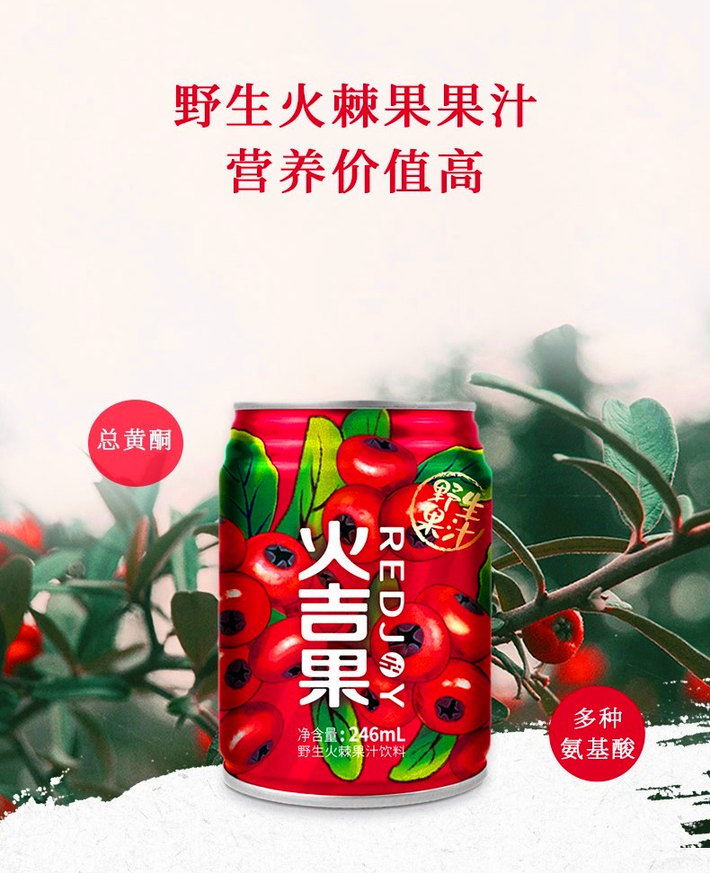 火吉果 彭水野生火棘果汁饮料礼盒装 246ml*6罐/盒,善融商务个人商城