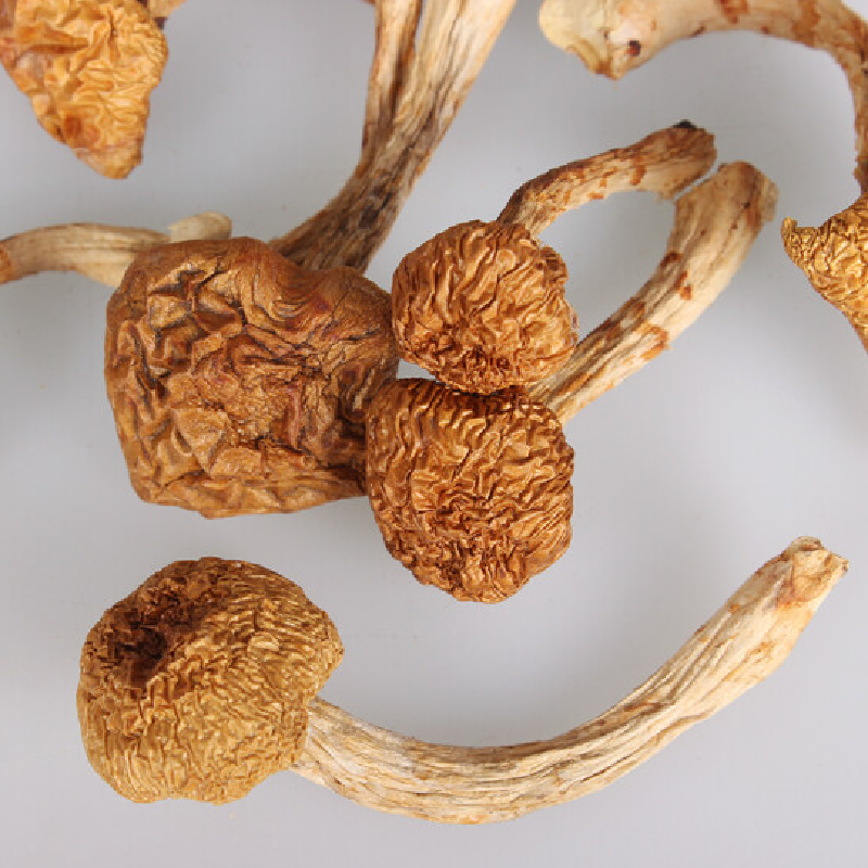 菌之路 精选滑子菇干货小黄蘑菇 100g,善融商务个人商城仅售23.