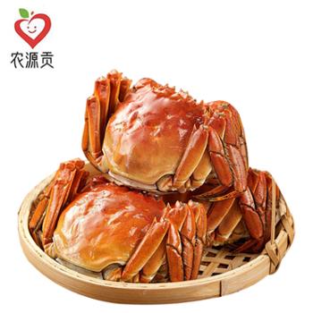农源贡 新鲜鲜活大闸蟹 公蟹3.5两 母蟹2.5两 4对8只 多规格