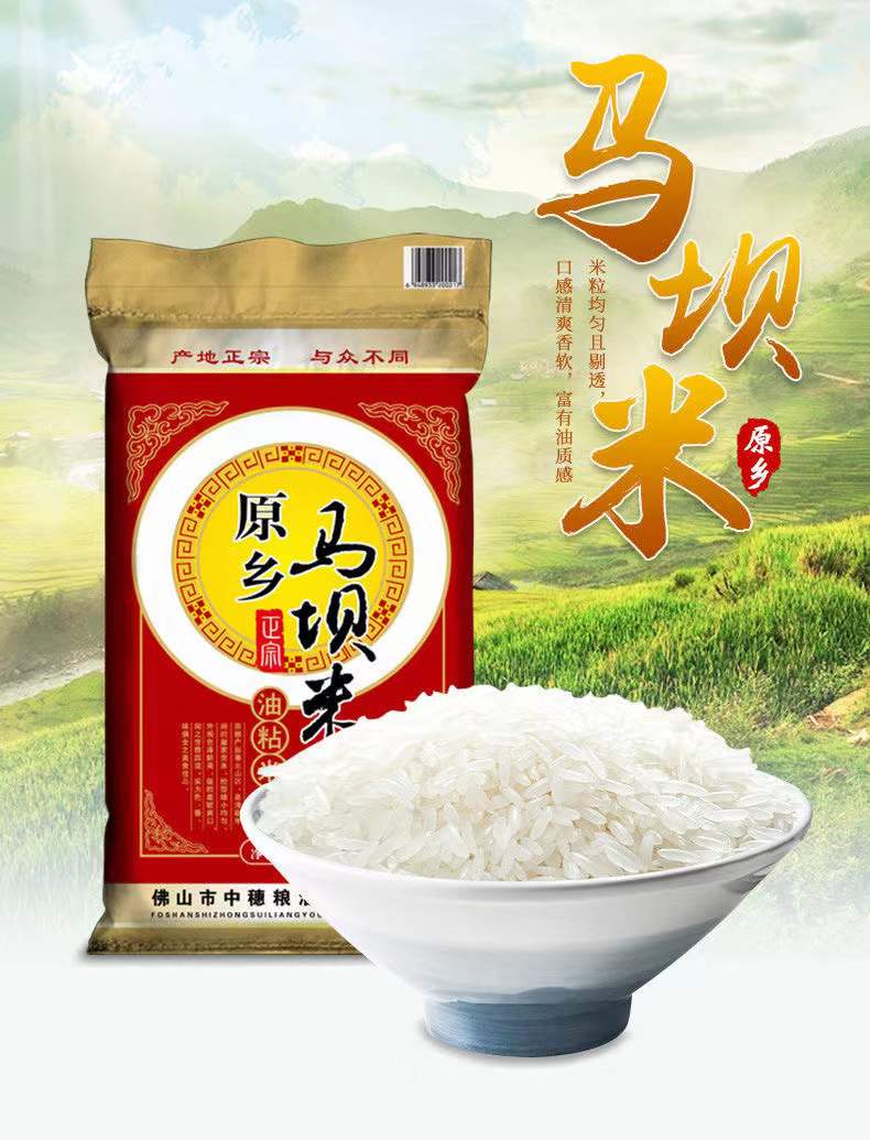 粤北山区 广东特产 韶关马坝油粘米 农家大米 10斤装/30斤装/50斤装