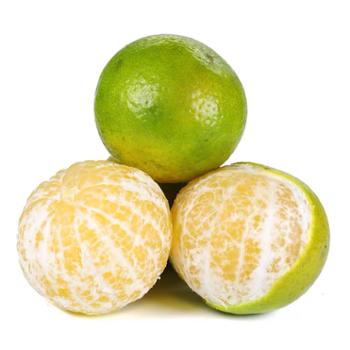 00元,价格实惠,品质保证-橘/桔