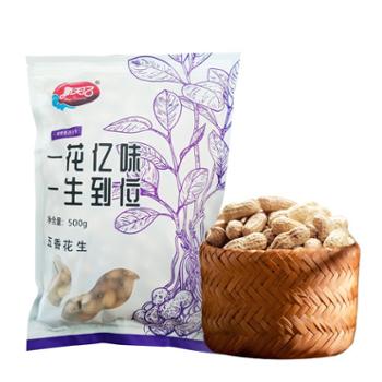 新天亿&nbsp;福建龙岩湿烤花生&nbsp;500g/袋