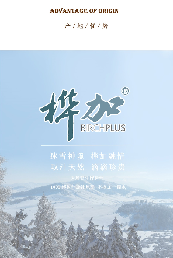 桦加传奇白桦酒干型128vol750ml