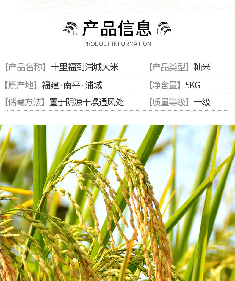 浦之玉 十里福到浦城大米枫溪梯田农家自产米 绿色有机大米 5kg,善融
