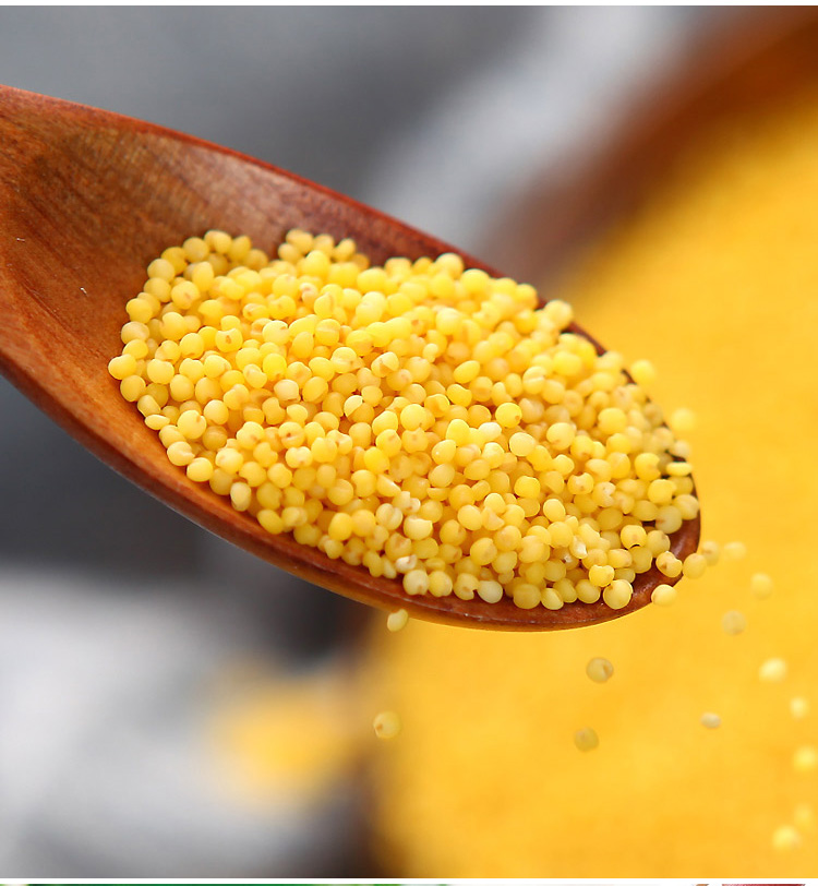 桂馥堂 甘肃会宁农家油小米 480g/袋,善融商务个人商城仅售20.