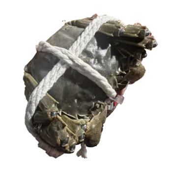 蟹香门第 阳澄湖大闸蟹(实物） 公3、母2两各5只共10只