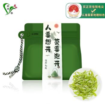 双碑 信阳毛尖浓香型绿茶自饮款 60g/袋